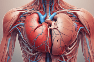 Anatomía del Pericardio y sus Funciones