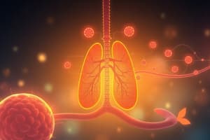 Glycolysis and Respiration Overview