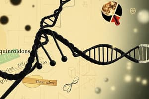 Chinoloni e replicazione del DNA