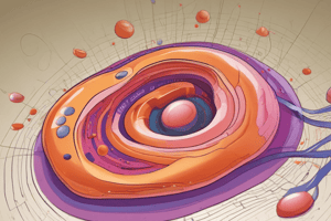 Cholesterol Overview