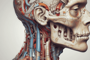 Clinical Anatomy of the Head Part 1