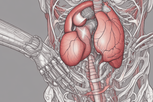 Anatomy of the Stomach