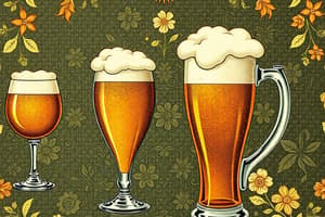 Birra: Definizione e Classificazione