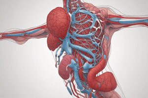 Heart Sounds and Valves