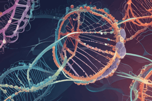 Termination of Transcription