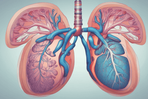 Lung Function Tests