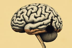 Cognitive Neuroscience Overview