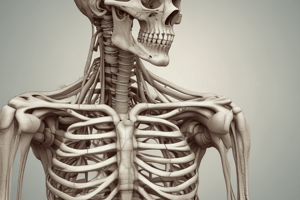 Structure and Functions of the Skeletal System