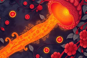 Coagulation Cascade and Fibrinolysis