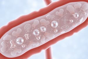 unit 5, lesson 6: Endocrine Pancreas