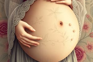 Pregnancy Length and Trimesters Overview