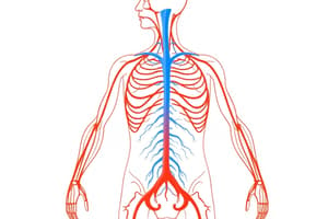 Autonomic Nervous System Overview