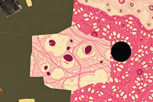 Epithelial Tissue Types Quiz