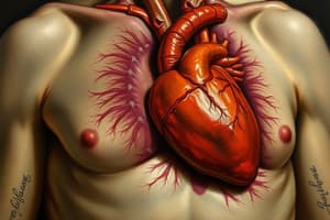 Cardiac Tamponade Overview and Distinctions