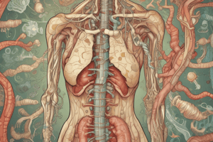 Sistema Gastrointestinal