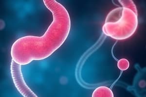 Glucose and Lipid Metabolism