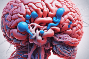 Differences Between Broca's and Wernicke's Aphasia