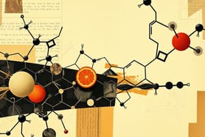 Carbohydrates and Their Classification