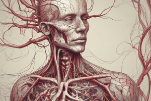 Blood Vessels and Circulation