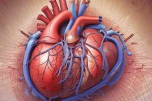 Pericardial Layers and Function Quiz