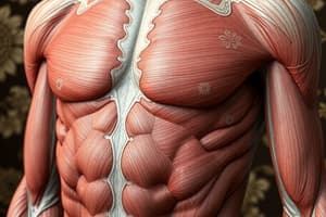 Tecido Muscular Liso: Definição e Características