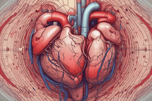 Cardiovascular Medications Quiz