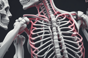 Locomotory System: Bones, Muscles, and Joints