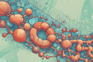 Chemie 2010: Enzymy a metabolismus