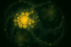 Cell Cycle Overview