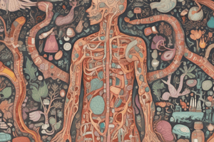 Coeliac Disease: Clinical Key Findings and Practical Insights