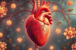 Control of the Circulatory System Quiz