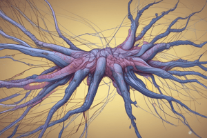 Y1S1 007 III Physiology Neuroscience I: Functional Organization of the Nervous System