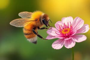 Pollinator Conservation Quiz