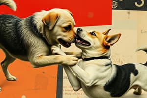 Dog Interactions: Understanding Play