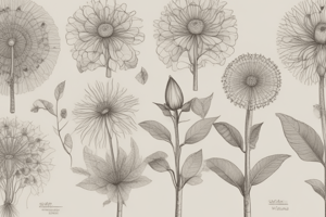 Angiosperm Structure and Characteristics