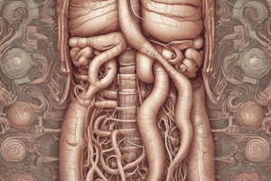 MBBS Year 1 Gastrointestinal Lectures