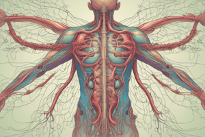 Lymphatic and Immune System