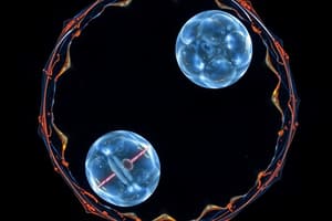 Cell Cycle: Mitosis and Meiosis