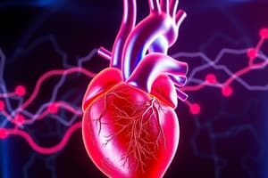 Heart Structure and Blood Flow