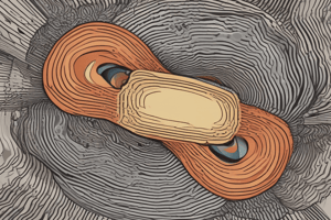 Understanding Friction Between Surfaces