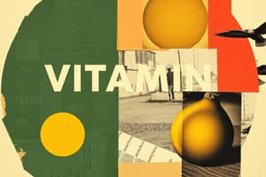 Fat-Soluble Vitamins: Vitamin A Functions