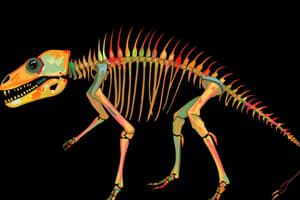 Classification of Vertebrates Quiz