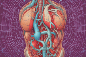 Lecture 2 - Urinary System  A+P 2