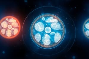 Metformin and CT Scans Overview