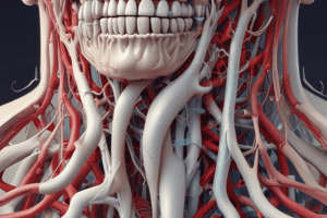 Bone Vascular Supply and Bone Loss