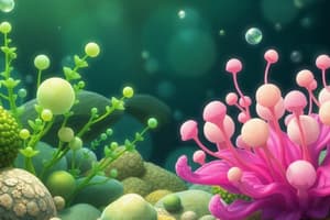 Algae: Types and Characteristics