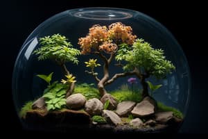 Creating Terrariums: A Hands-On Project