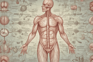 Endocrine System and Respiratory system