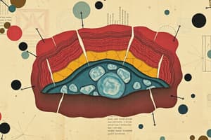 Epithelial Tissues Overview