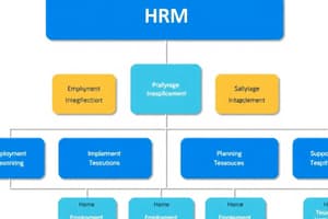 HRM and Organizational Structure Quiz